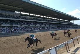 43 Genuine Belmont Stakes Seating Chart