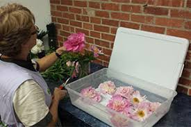 There are many artists out there who are drying flowers for jewelry and check out our video tutorial for how we dried flowers by pressing them in books below: Dry Flowers Using Silica Gel Agm Containers Controls