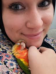 Introducing pet green cheek conure rusty