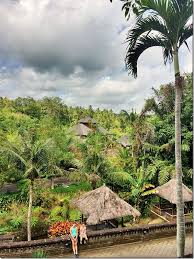 An outdoor communal pool, children's pool, free area shuttle, spa treatments, bicycle rental and yoga classes are provided at the payogan villa resort & spa ubud bali. The Payogan Villa Resort Spa Ubud Family Friendly Accommodation