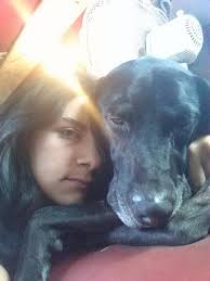 Karma's emergency visit at Oasis Animal Hospital