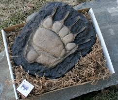 The print of the base will be more oval versus a rounded base. Grizzly Bear Paw Track