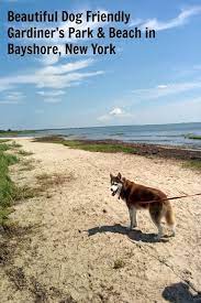 Dog Friendly Gardiner Park And Beach Is A Great Place To Take Your Dog On A Fun Adventure Dogfriendlbe Road Trip With Dog Dog Friendly Beach Beach Adventure