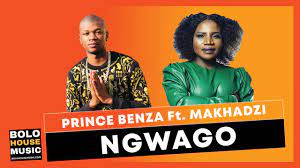 Music video shot in botswana en. Prince Benza Ft Makhadzi Ngwago Official Audio 2021 Youtube