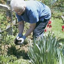 Check spelling or type a new query. Worm Composting Finegardening
