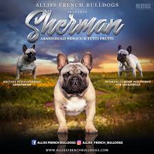 French bulldog information, how long do they live, height and weight, do they shed, personality traits, how much do they cost, common health issues. Pin On Dog Breeder Litter Announcements Breeding Banners