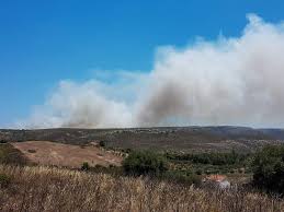 Ειδικότερα στην φωτιά στο λαύριο στη λεωφόρο θορικούω επιχειρούν 47 πυροσβέστες,19 οχήματα και 1 ε/π. Fwtia Twra Sto Layrio