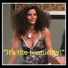 Silkee Co - Monica's holiday hair nightmare. This was so ...