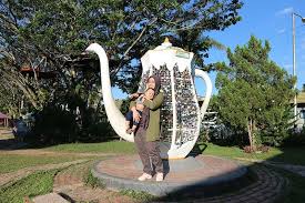 Sabah Tea Garden Kundasang Sabah Tea Sabah