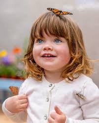 Tasha Bock Art (@tashabock.art) • Instagram photos and videos