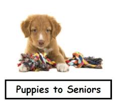 Why Dogs Need Science