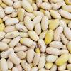 It is a respected dish in the igbo land. Https Encrypted Tbn0 Gstatic Com Images Q Tbn And9gcr5ydbis892luvt6uws0jprxmjubh3ato2yrcwc5up1qhbisbhc Usqp Cau