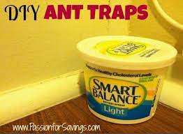 Diy Ant Traps Get Rid Of Ants Ants Rid Of Ants