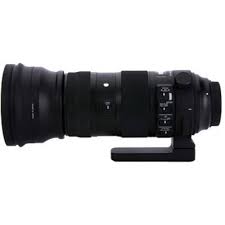 Pin On Sigma Lens