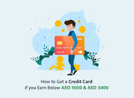 Companies that accept credit cards. How To Get A Credit Card If You Earn Below Aed 3000 Or 5000