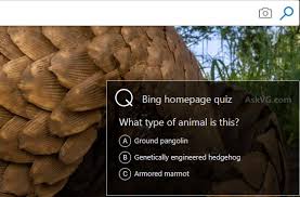 That is smaller than the other quiz such as warpspeed, supersonic, furry friends and more. Fix Bing Homepage Quiz Not Working In My Web Browser Askvg