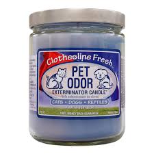 Pet odor exterminator candle, orange lemon splash,13 oz. Pet Odor Exterminator Candle Clothesline Fresh