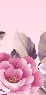 49 Best Ideas Flowers Fondos Peonias Flower Wallpaper Wallpaper Backgrounds Iphone Wallpaper