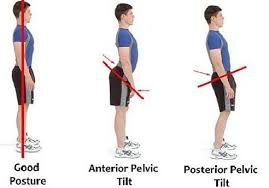 Image result for rotate the pelvis forward