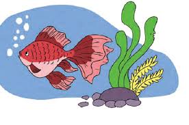 Ikan memiliki sistem gerak yang unik. Ide Pokok Dan Kalimat Pengembang Dalam Bacaan Gerak Ikan Dalam Air Kunci Jawaban Kelas 5 Sd Mi Tema 1 Hal 17 Portal Jember