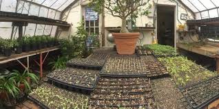Enjoy fine chinese, canadian chinese cuisine and exquisite service. The Haskell Gardens Spring Plant Sale Starts May 26th In New Bedford New Bedford Guide
