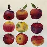 Heirloom Apple Watercolor Workshop