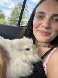 What to do when your kid brings home a stray bunny?