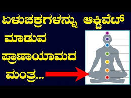 ಏಳ ಚಕ ರಗಳನ ನ ಸಕ ರ ಯಗ ಳ ಸ ವ ಪ ರ ಣ ಯ ಮದ ಮ ತ ರ By Ananth Ji Ayurveda Tips In Kannada Media Master Yout In 2020 Chakras In Human Body Chakra Meditation Seven Chakras