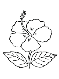 We did not find results for: Drawing Simple Hibiscus Flower Drawing Color