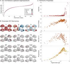Image result for Higher Integrative Function
