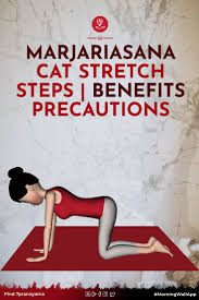 Marjariasana Cat Stretch Steps Benefits Precautions In 2020 Cat Stretching Learn Yoga Poses Morning Yoga Routine