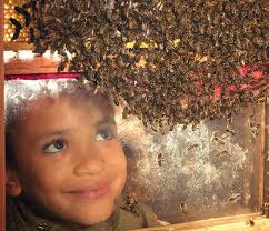 Down House Family Guide