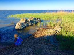 In drum spre poarta de intrare, coman si tanase au fost 'reperati' de diana munteanu. 5 Locuri De Vizitat La Nord De ConstanÈa RecomandÄri De La Kinder Trips