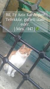 Islam Iman Ozlu Sozler