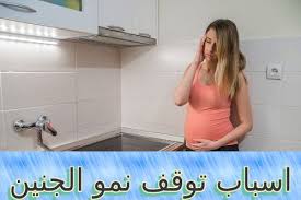 pin on الجنين