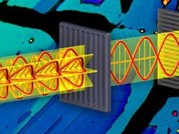 Image result for Polarized Microscopy