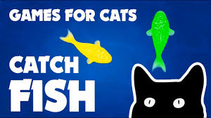 Fish Game For Cats Games For Cats Youtube