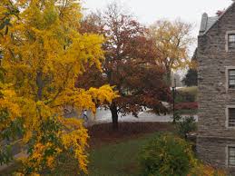 The Not-So-Little Ivies | The College Voice