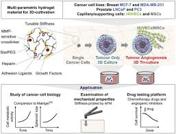 Nervous system side effects, including damage to the. Influences Of The 3d Microenvironment On Cancer Cell Behaviour And Treatment Responsiveness A Recent Update On Lung Breast And Prostate Cancer Models Sciencedirect