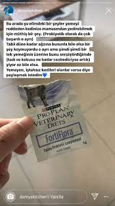 Kizim Icin Kedi
