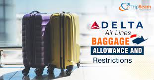 Check spelling or type a new query. Delta Air Lines Baggage Policy Tripbeam Com