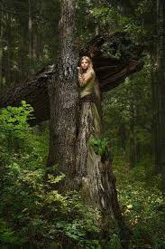 Pin By Donald Greenbank On Fotoart Magic Forest Forest Pictures Forest Girl