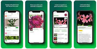 This android plant recognition app is great for beginners who need to know the name of plants around them. Top 7 Plant Identification Apps For Android And Ios