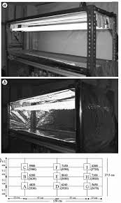 This data was prepared from histological sections made on human eyes. A Shelf Of Slotted Angled Iron Racks With Four Tube Lights Without A Download Scientific Diagram