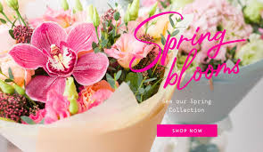 See more ideas about bluffton, something to do, bluffton sc. Best Florists Flower Delivery In Hilton Head Island Sc 2021