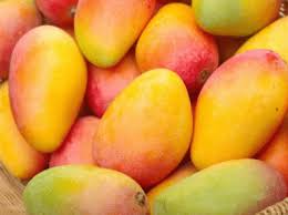 Here are the top 11. Mango Nutrition And Health Benefits Health Two Cents