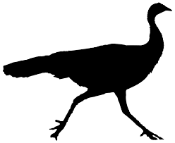 Download handprint template printable and use any clip art,coloring,png graphics in your website, document or presentation. Wild Turkey Svg Novocom Top