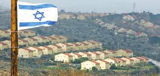 THE ARAB AMERICAN TODAY