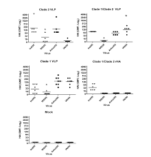 Rotavirus immunoglobulin a (iga) seropositivity. Elicitation Of Protective Immune Responses Using A Bivalent H5n1 Vlp Vaccine Virology Journal Full Text