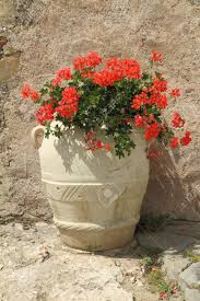 Main products terracotta pots, italian terracotta pots, made in. Retro Style Terracotta Pot Wit Red Geranium Italy Stock Photo Picture And Royalty Free Image Image 9139911